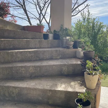 D'hote D'artiste Mandelieu