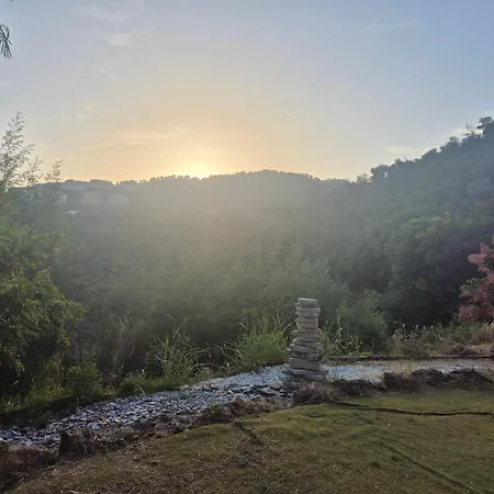 D'hote D'artiste Penzion